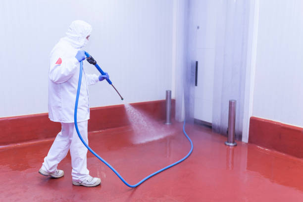 Paint Preparation in Bowdon, GA